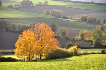 November was zonnig en droog