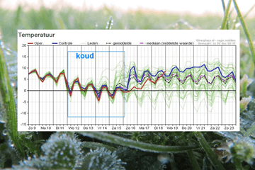 Weerblik op de week: Tijdelijk kouder en droog