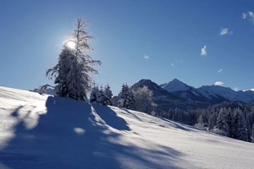 Vrij goede eerste vakantieweek voor Alpen