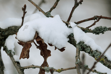 Gladheid door vorst en sneeuwval