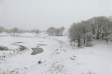 Opnieuw lichte sneeuw