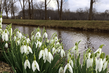 30-daagse: Eerste tekenen van de lente