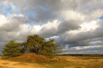 Weekend: zon, wind en regen