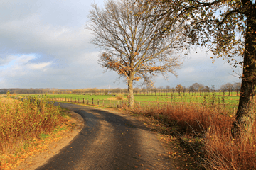 Winter op weg naar top 10 zachtste winters