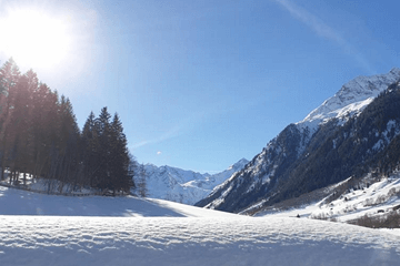 Volop zon in de Alpen