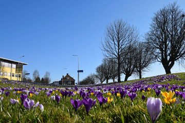 Eerste officiële regionaal warme dag van het jaar