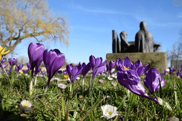 Warmste 26 februari ooit gemeten