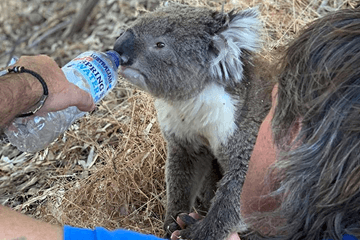 Australië heeft warmste zomer sinds metingen