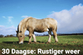 30 Daagse: Rustiger weer op komst