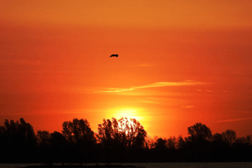 Saharastof boven Nederland