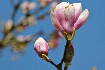 Lente zonnig, droog en iets te zacht