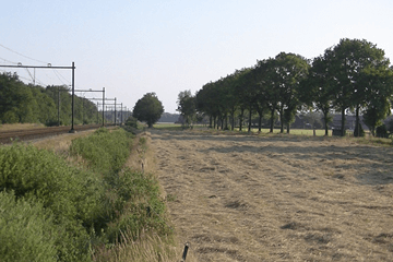 Droogte regionaal weer zorgelijk