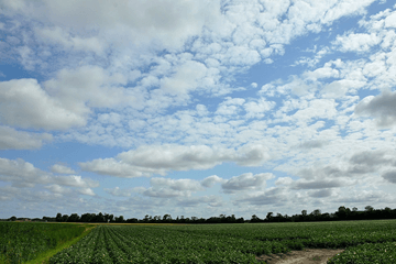 Weerblik op de week: Wanneer wordt het warmer?