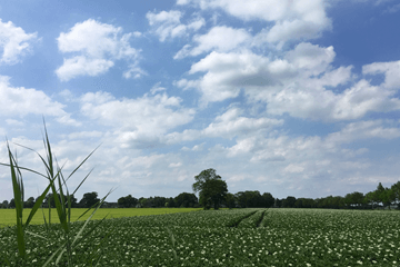 Nederlands weekend vrijwel droog