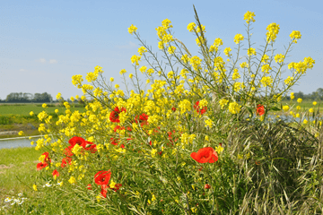 Eerste zomerse dag van september