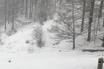 Alpenweer: Vooral komend weekend veel sneeuw