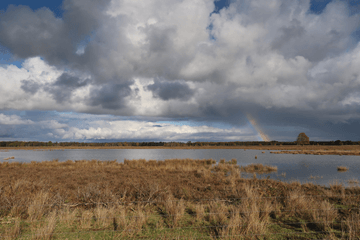 Weekend: meestal droog, koude nachten