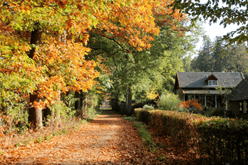 November vrij nat en iets te fris