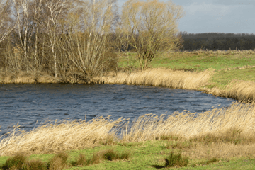 Weerblik op de week: Wisselvallig en zacht