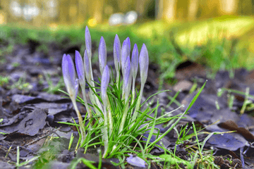 Warmste 16 februari ooit gemeten