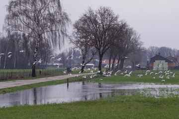 Weerblik op de week: komende week wisselvallig