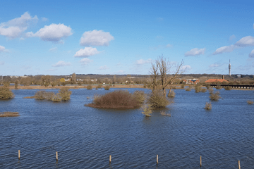 Einde hoogwatergolf in grote rivieren