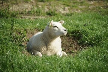 Bye bye 'herfst': lange droge periode is aangebroken!