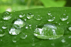 Regen komt eraan