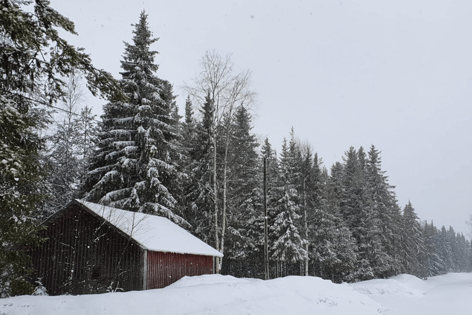 Winter voor even terug in delen van Scandinavië