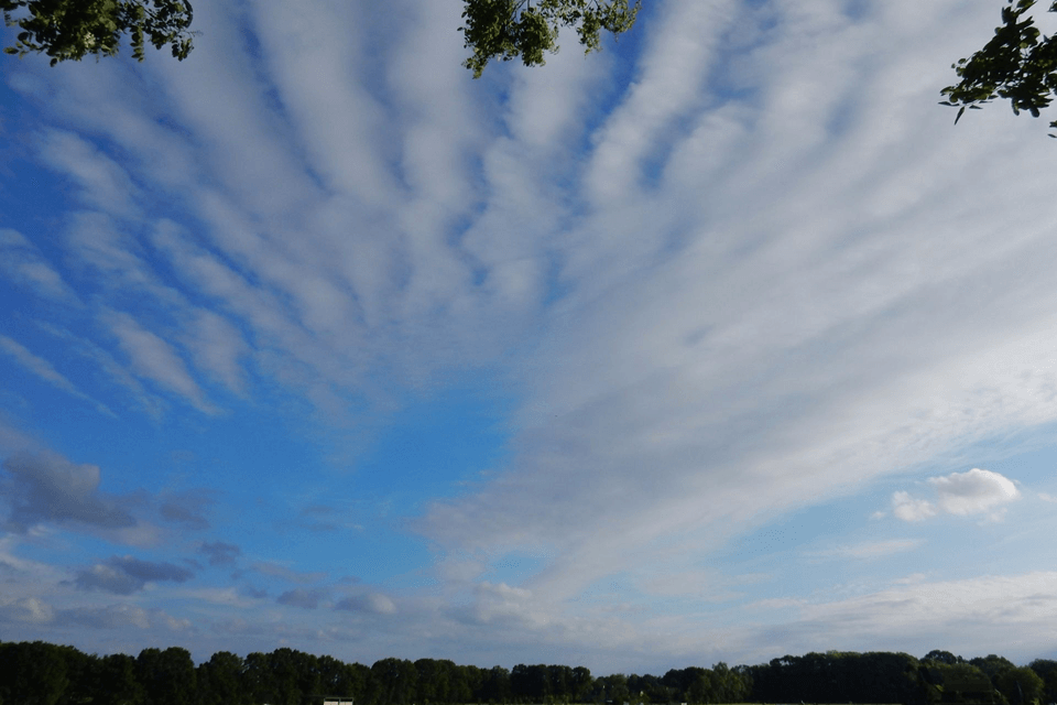 Weekverwachting: Koel lenteweer