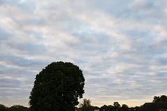 Wolkenvelden en soms wat zon