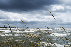 De buien verdwijnen en de wind zwakt af, maar voor hoelang?