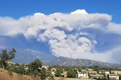 Hevige bosbranden in Californië: Harde wind bemoeilijkt het blussen