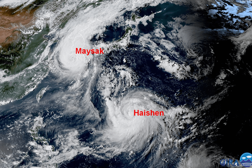 Tyfoon Maysak bedreiging voor Zuid Korea. Tyfoon Haishen risico voor volgende week