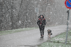 Eerste sneeuw van de winter!