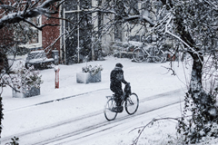 Liveblog: sneeuw in Nederland