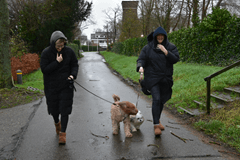 Na sneeuw komt... regen en wind!