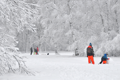 Winterse verrassingen, het kan altijd