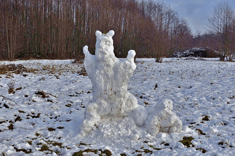 Het gaat vannacht sneeuwen