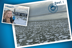 Sneeuwbuien op Terschelling, ijs op de Waddenzee