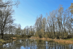 In één week tijd van winter naar lente!