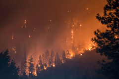 Grote bosbranden in VS en Siberië