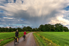 30-daagse: Hoe lang duurt de zomerdip?