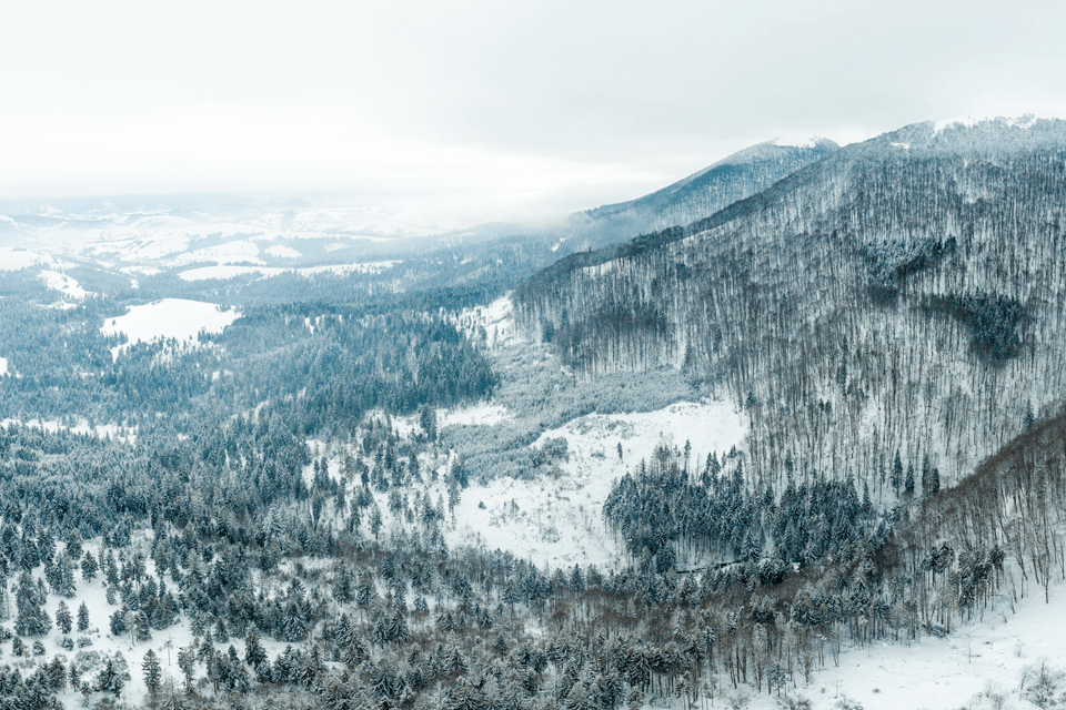 Sneeuwval in de Alpendalen en middelgebergtes