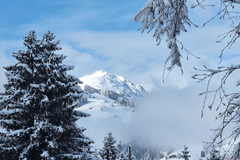 Zacht weer met neerslag op komst in de Alpen